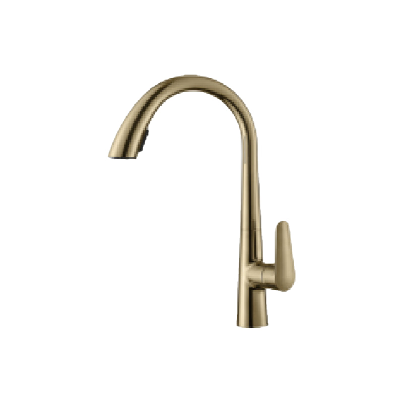 抽拉菜盆龙头QS-6011-5