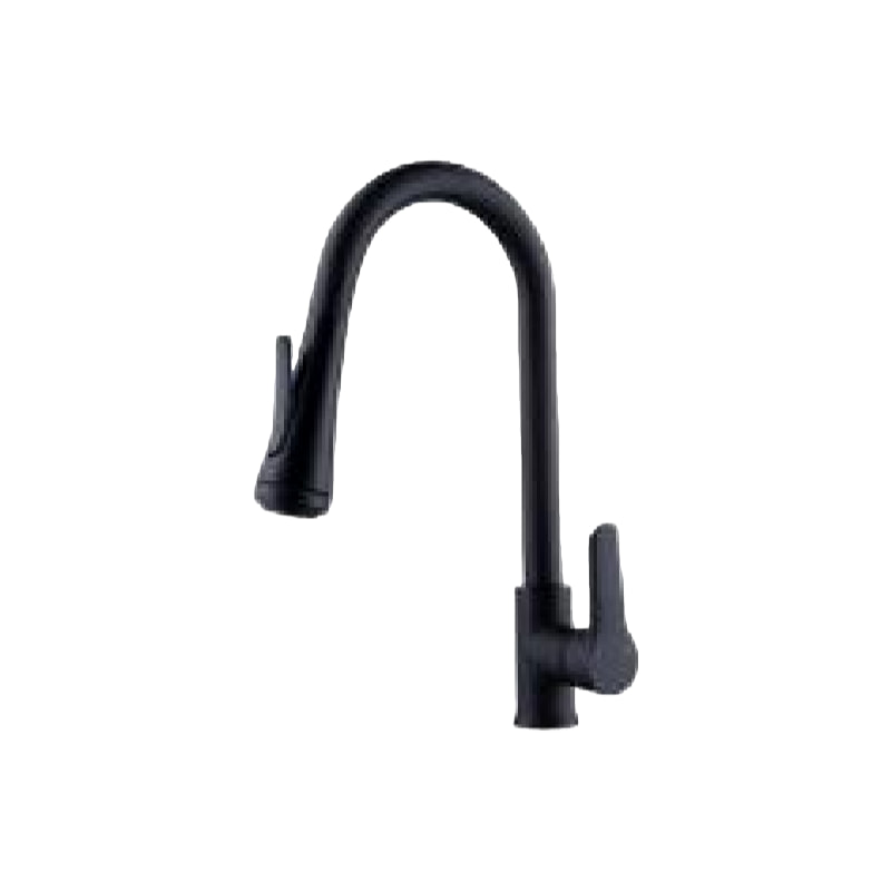 抽拉菜盆龙头QS-6027-2