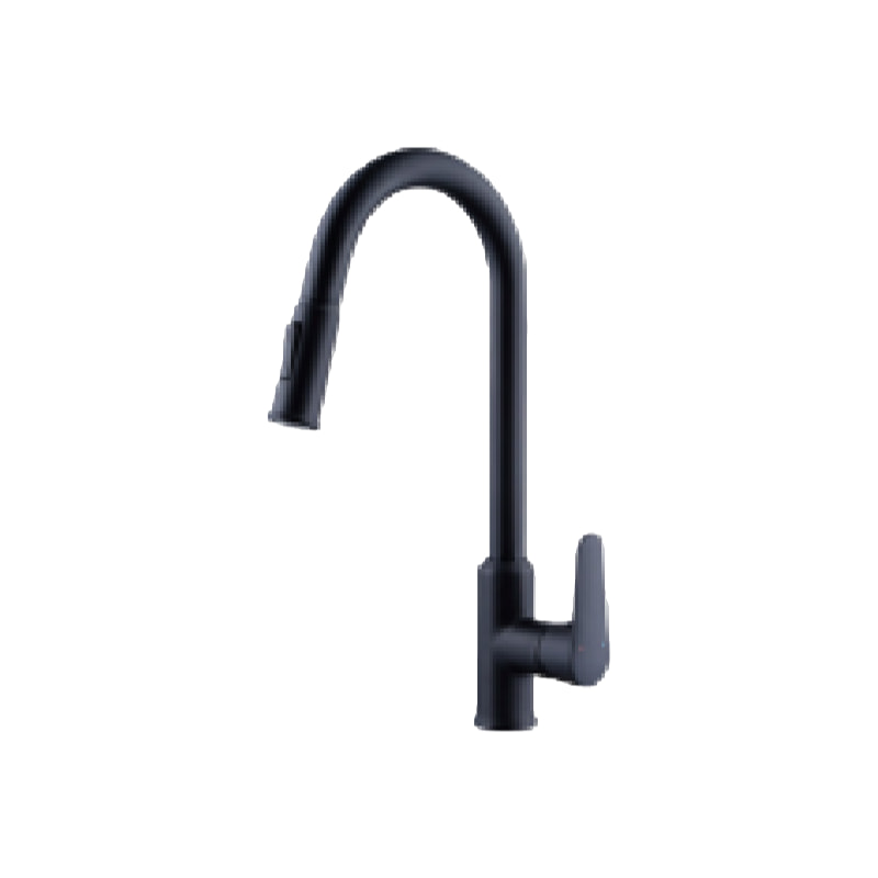 抽拉菜盆龙头QS-6047-2