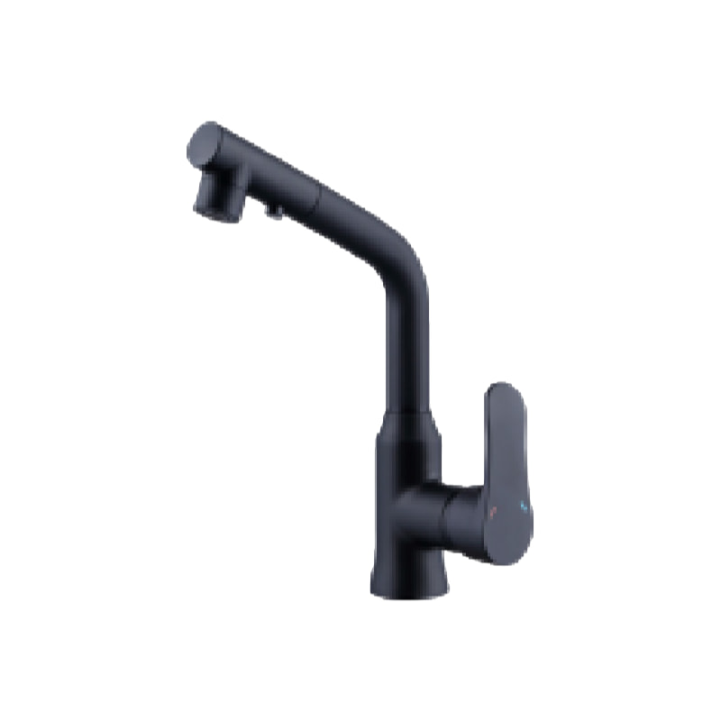 抽拉菜盆龙头QS-6017-2