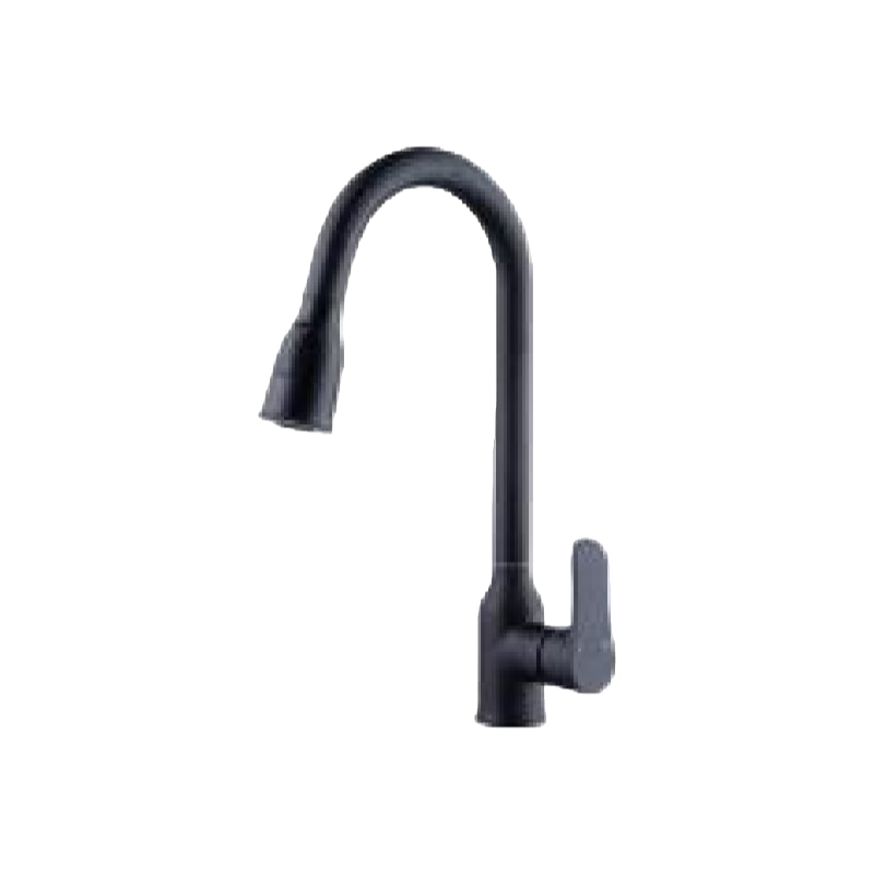 抽拉菜盆龙头QS-6015-2