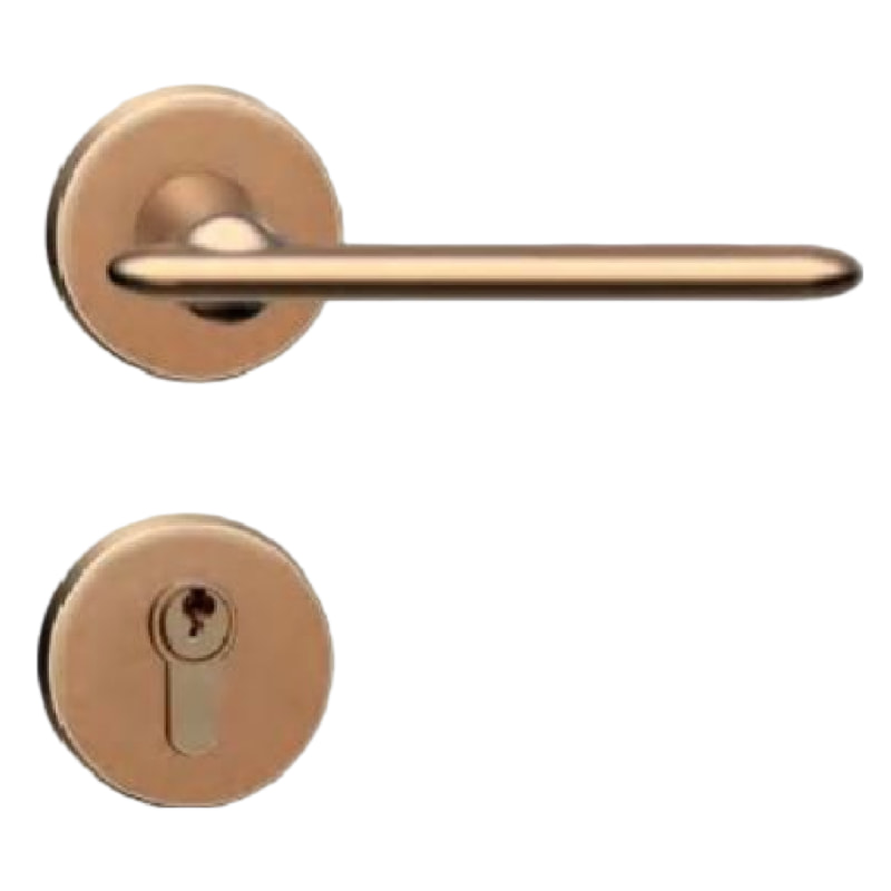 B8现代简约门锁沙金