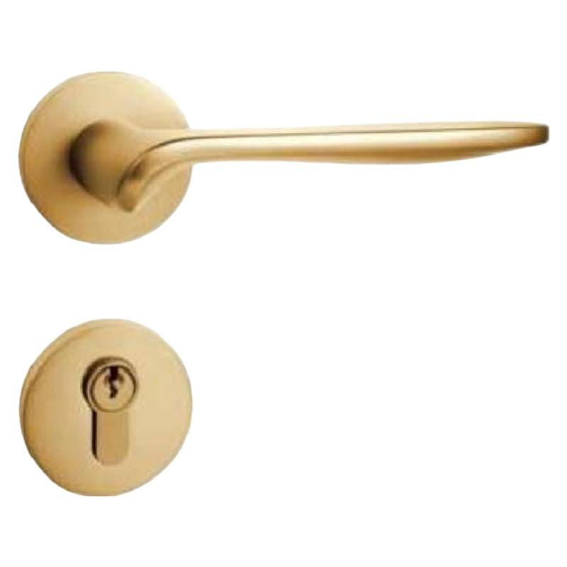 QX02现代简约门锁沙金