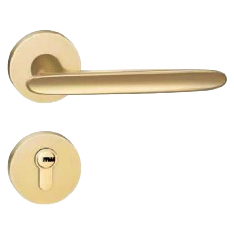 Q30现代简约门锁沙金